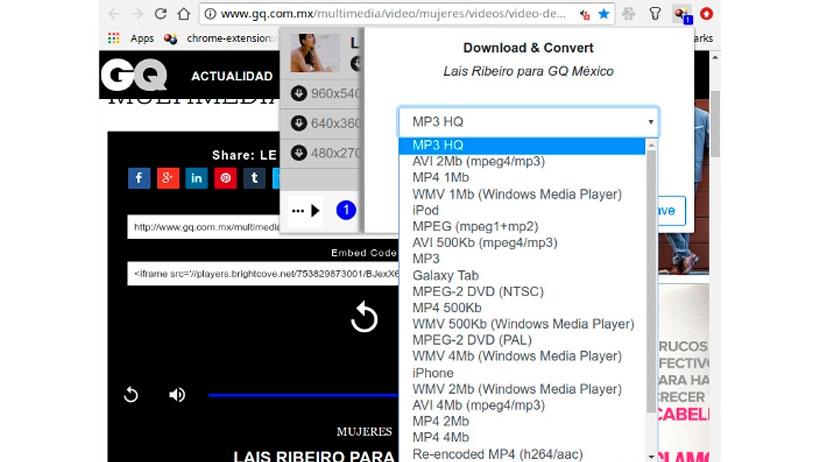 descargar videos chrome extension