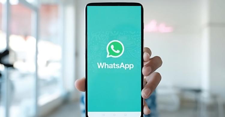 whatsapp whatsapp